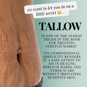 TAGG ORGANICS THE POWER OF TALLOW AGAINST STRETCHMARKS