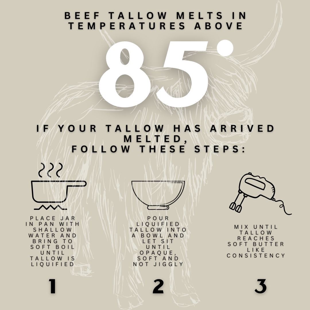 BULL BALM - SORE MUSCLE SALVE - TAGG ORGANICS