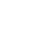 icon_policy