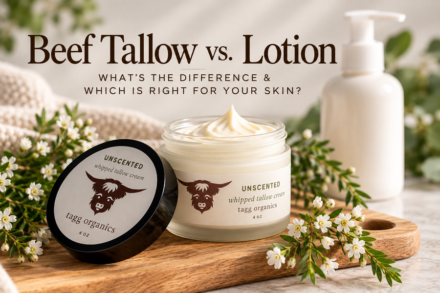 Beef Tallow vs. Lotion: What’s the Difference & Which Is Right for Your Skin?