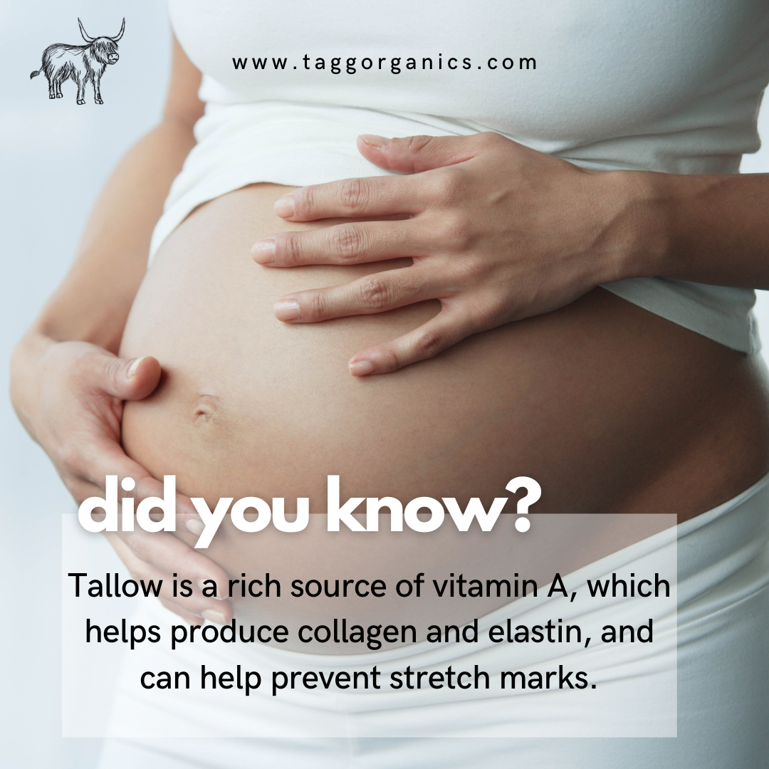 TAGG Organics BENEFITS OF TALLOW FOR STRETCHMARKS