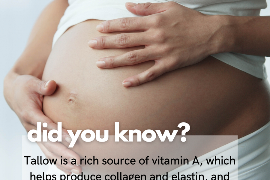 TAGG Organics BENEFITS OF TALLOW FOR STRETCHMARKS