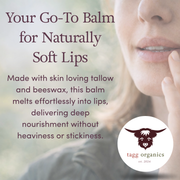 Organic Grass-Fed Tallow Lip Balm Tin - 4 Pack